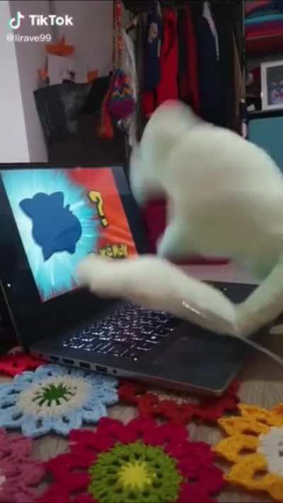 I can never guess the Pok&eacute;mon.