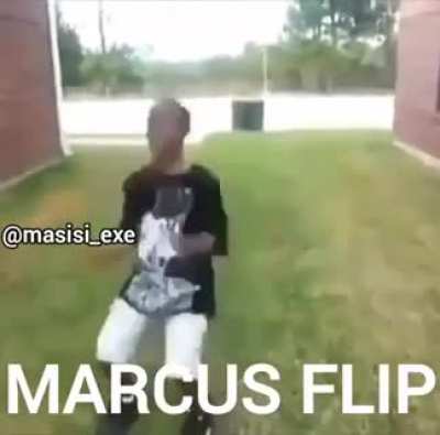 Evoluci&oacute;n del monkiflip