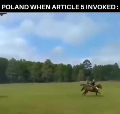 Polish power 💪