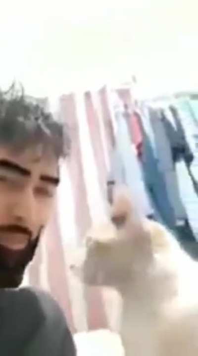 hmmm