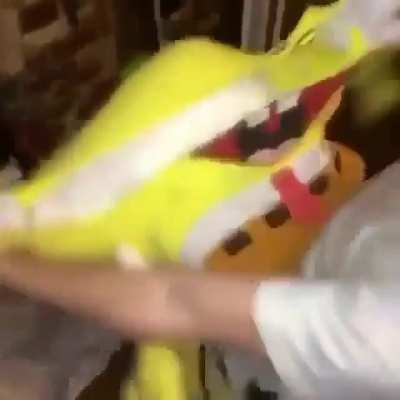 CAGASTE ESPONJA