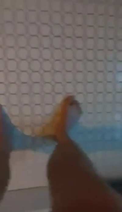 POV of a cock ring camera