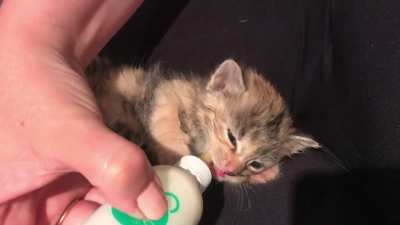 She might be illegally smol by her appetite isn&rsquo;t!