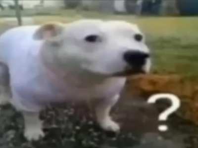 ?