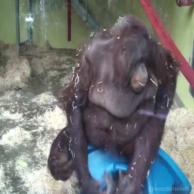 Monke takes out his target