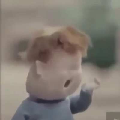 Vei...