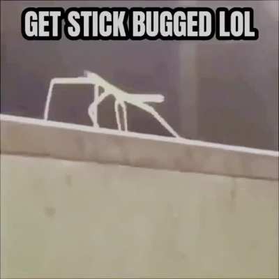 ey