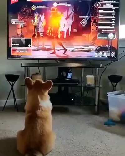 Tadinho kkkk