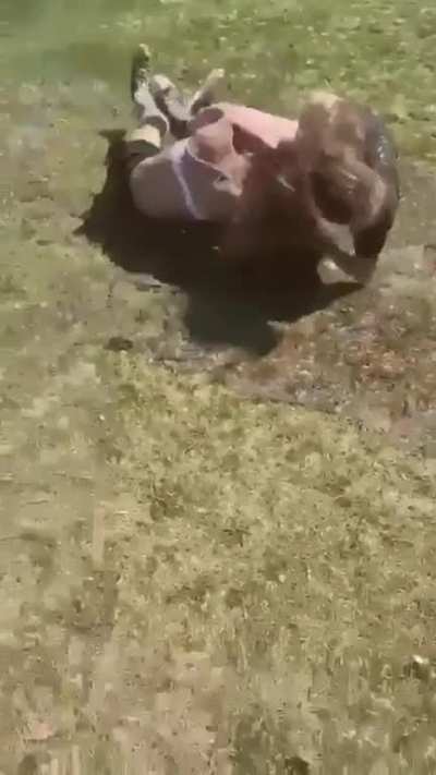 "Fight Me Bitch!"