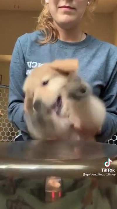 Nose que poner ac&aacute; pero buen dia
