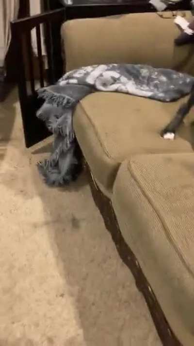 Aaaaaaaaaaaaaa