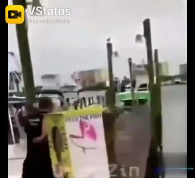 Melhor v&iacute;deo