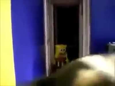 spongebob