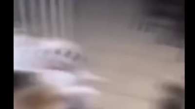 ghg&rdquo;6 uhryyy-pTyygth