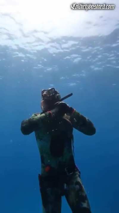 Octopus retaliation