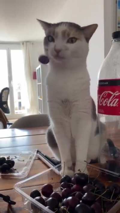 He likes cherries
