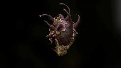 Beholder - David Oosterman