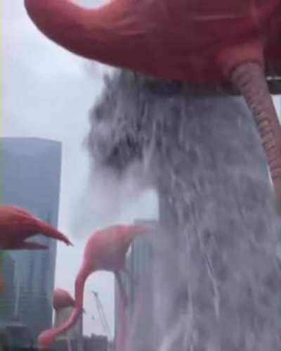 Big Flamingos