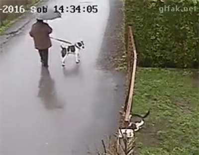 Get the fuck out of my hood