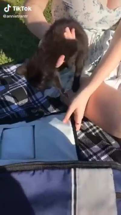Aww- what are they doing- NOO