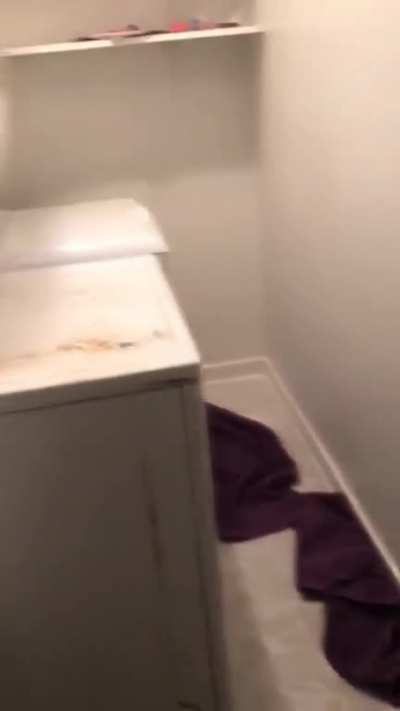 When your roommate says its your turn to do laundry