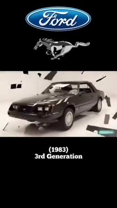 Mustang Evolutions