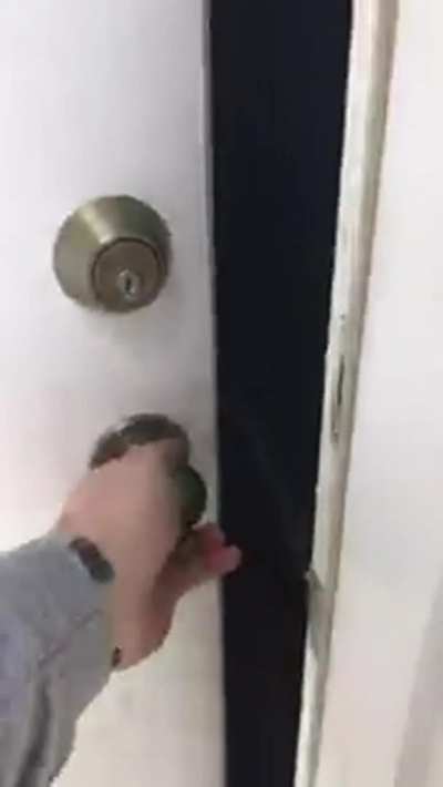 Upvote if oyu would love to come home to this!