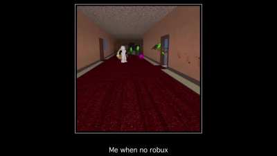 when no bobux