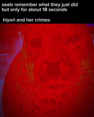 Hiyori and her silly crimes