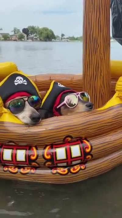 Ahoy me hearties! Yarghhh!!