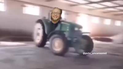 Amish Hayes