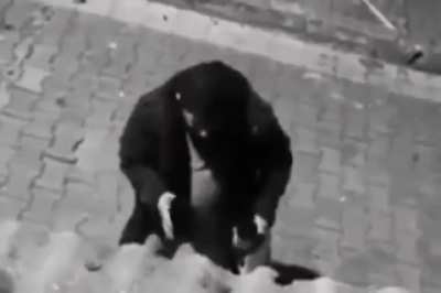 kafası hoşken bile k&ouml;pekle mantıklı konuşan insanlar var ,&uuml;lkenin %52 si ayık kafayla bile insanlarla d&uuml;zg&uuml;n konuşamıyor amk
