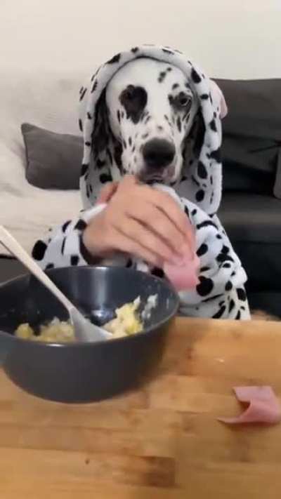 More more more more yummy yummy&hellip;