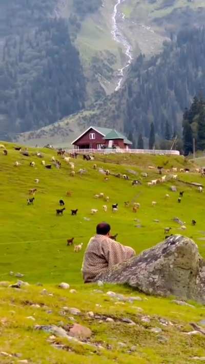 Kashmir 