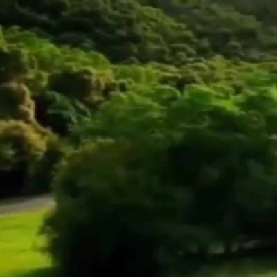 Very relaxing video