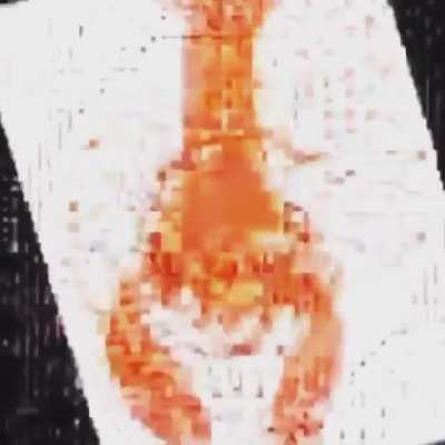 lobster