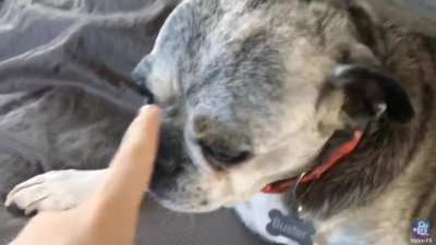 Boop!