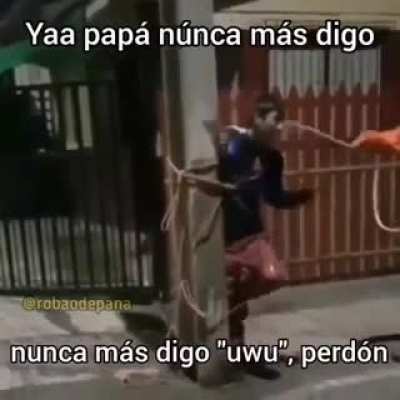 UwU 🐀💎🐀💎🐀💎🐀💎