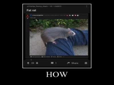 woah WT*f 😳