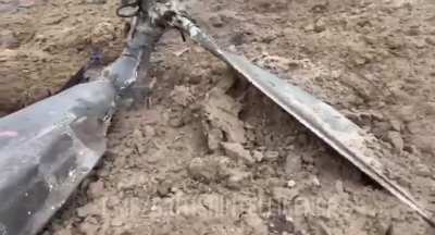 Mi-8 RF-91292: Video of crash site and deceased crew looks like eaten by animals