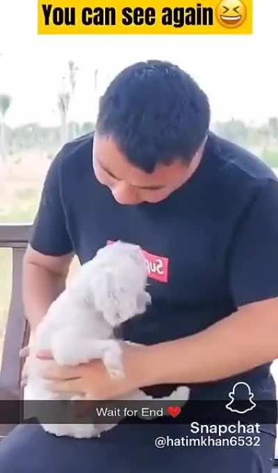 is it supposed to be wholesome?