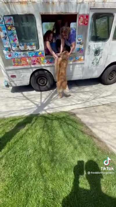 My sister's Golden Retriever is obsessed with the ice cream truck!