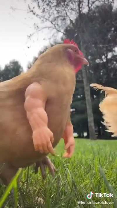 So I know where chicken fingers come from