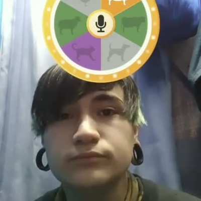 XD