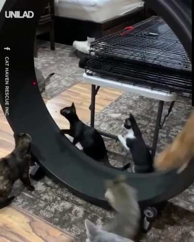 to catch it