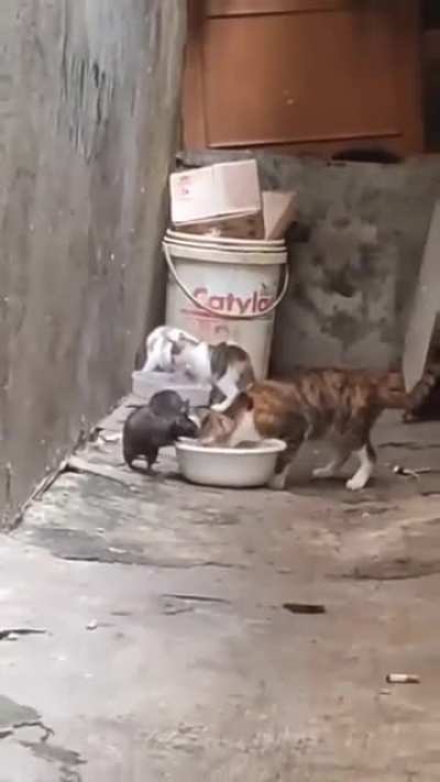 "This is my mealtime"