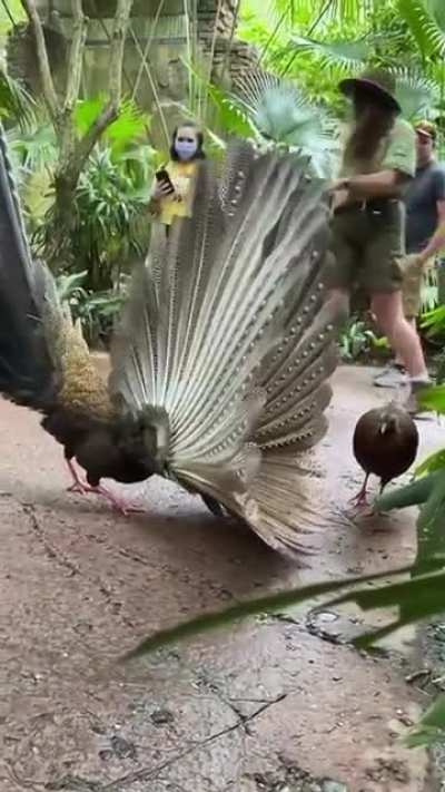Любовь это...