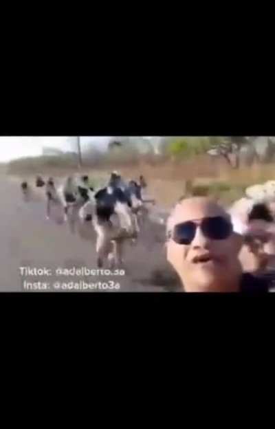 Feda puta jajajaaj