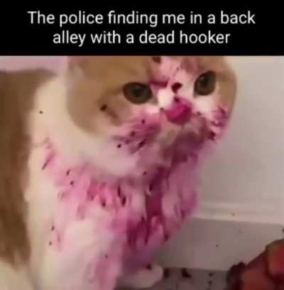 Cant even have some privacy 😔