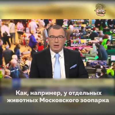 Уже не ежик, но еще не ослик